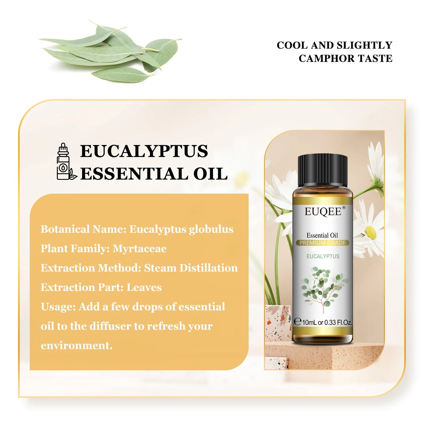 EUQEE Natural Essential Oils Eucalyptus Spearmint